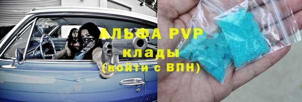 индика Белокуриха