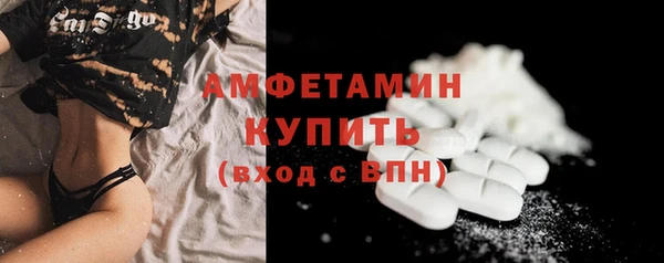 индика Белокуриха