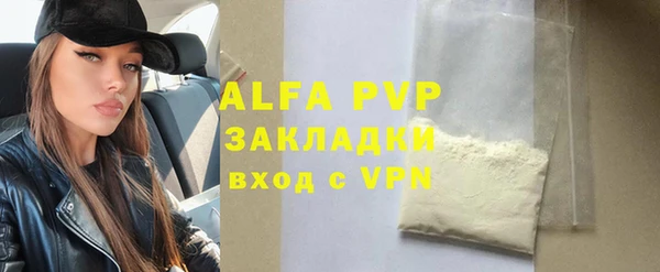 индика Белокуриха