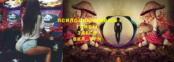 не бодяженный Бикин