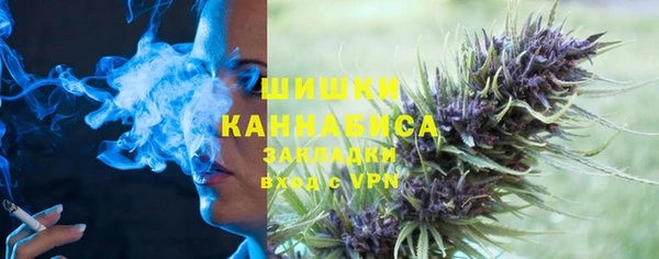 индика Белокуриха