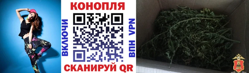 Конопля семена  нарко площадка клад  Болохово 